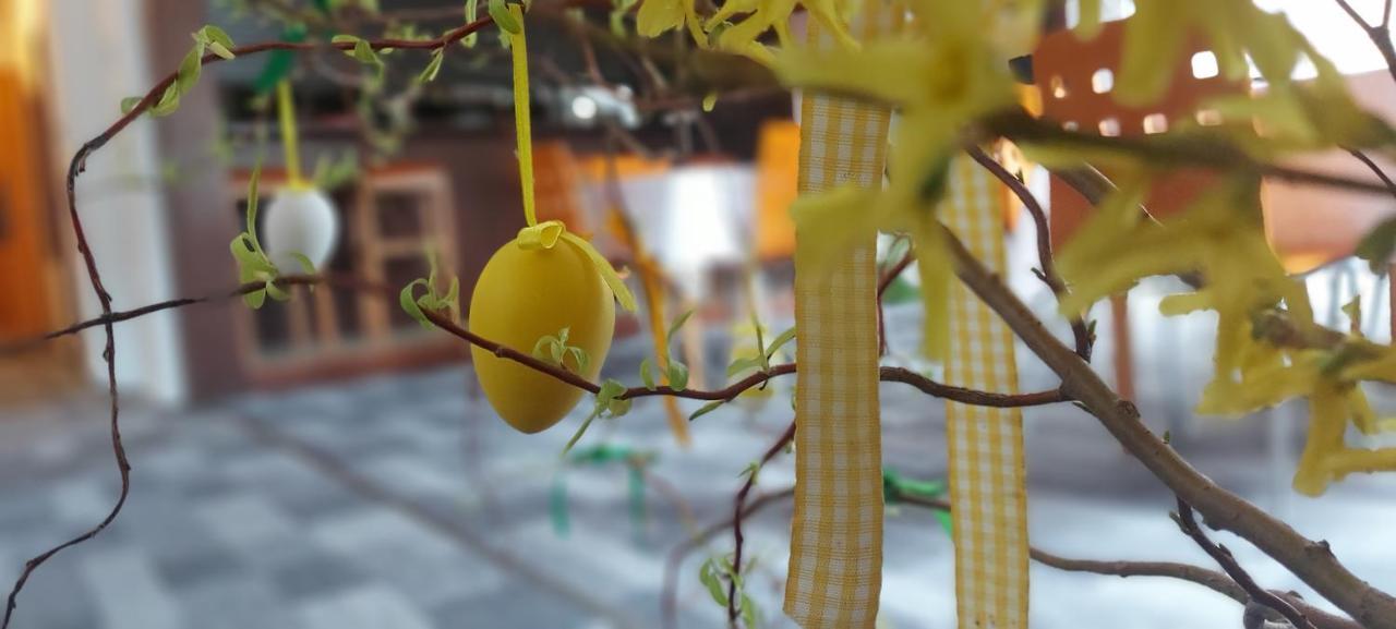 Penzion Svojanov Bagian luar foto